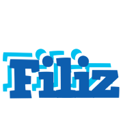 Filiz business logo