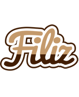 Filiz exclusive logo