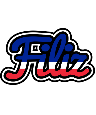 Filiz france logo