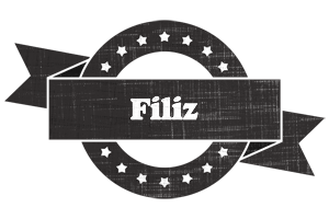 Filiz grunge logo