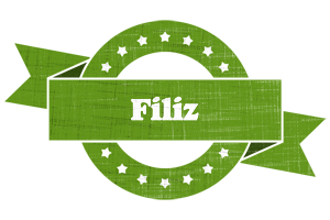 Filiz natural logo