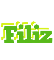 Filiz picnic logo