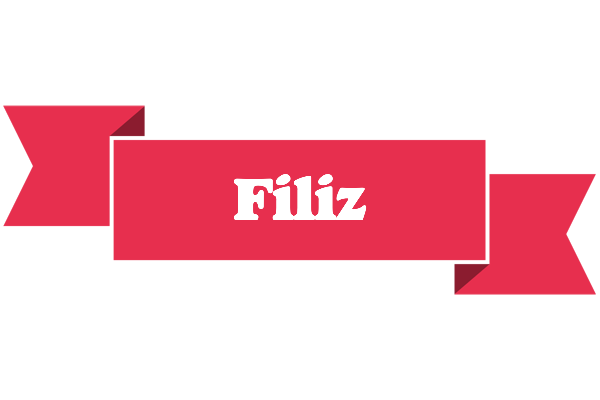 Filiz sale logo