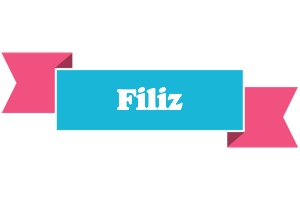 Filiz today logo