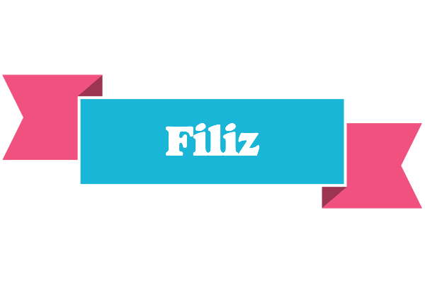 Filiz today logo