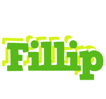 Fillip picnic logo