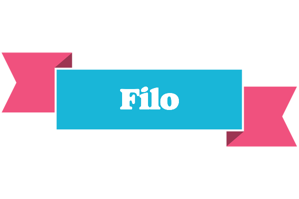 Filo today logo