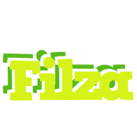 Filza citrus logo