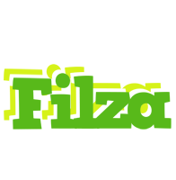 Filza picnic logo