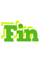 Fin picnic logo