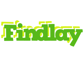 Findlay picnic logo