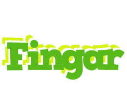 Fingar picnic logo