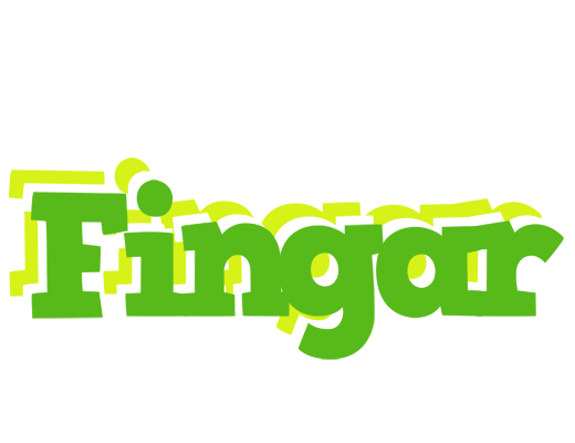 Fingar picnic logo