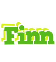 Finn picnic logo