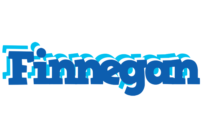 Finnegan business logo