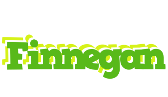 Finnegan picnic logo