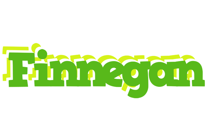 Finnegan picnic logo