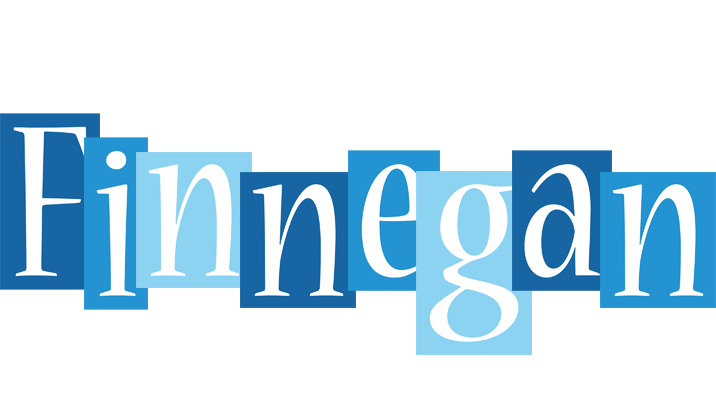 Finnegan winter logo