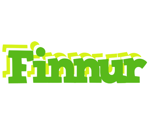 Finnur picnic logo