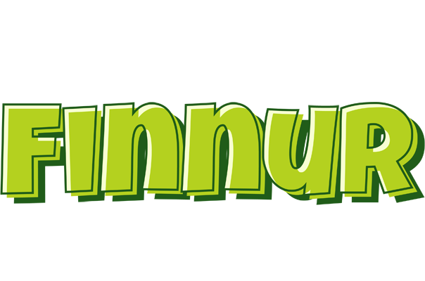 Finnur summer logo