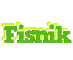 Fisnik picnic logo