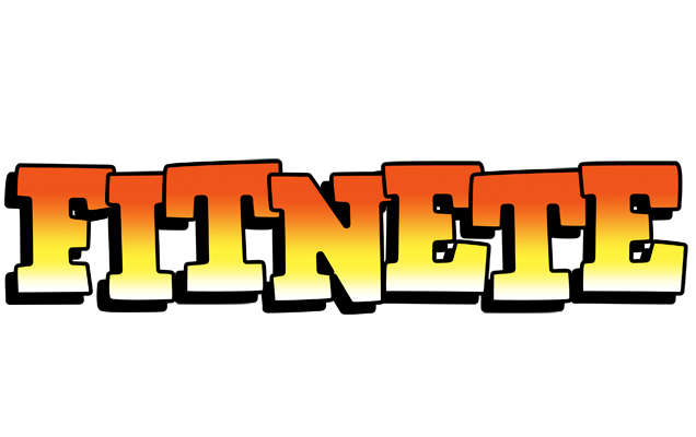 Fitnete sunset logo