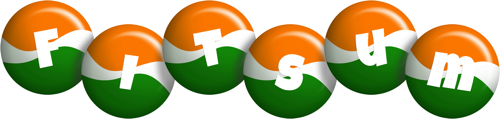 Fitsum india logo