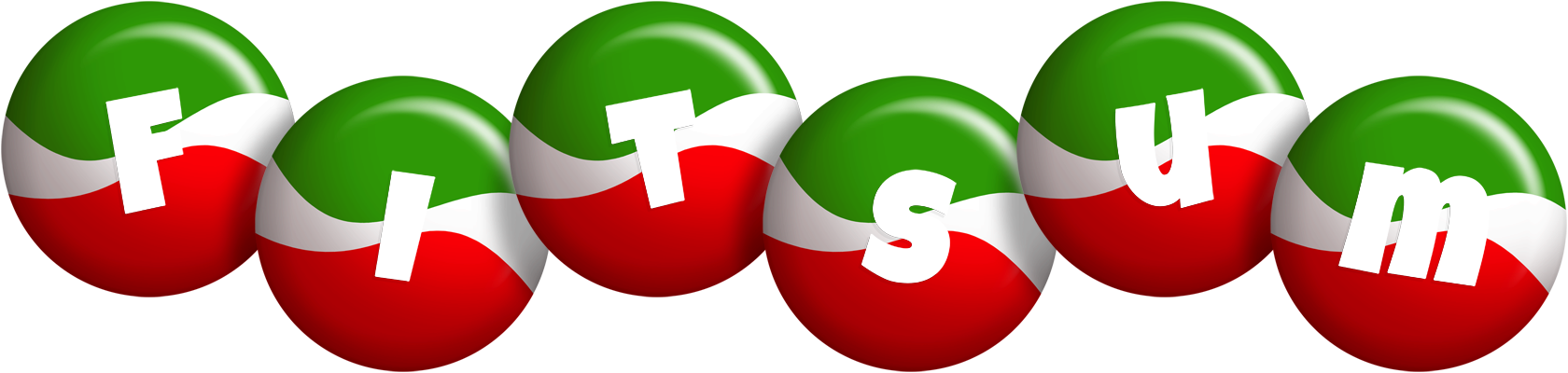 Fitsum italy logo