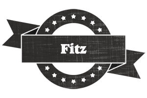 Fitz grunge logo