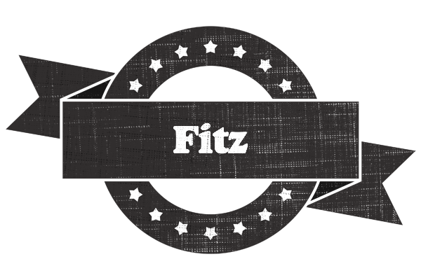Fitz grunge logo