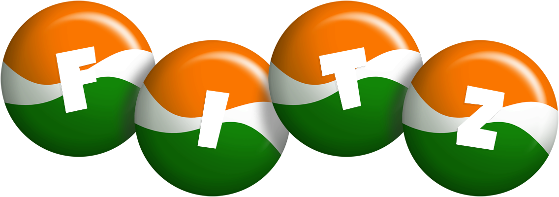 Fitz india logo