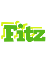 Fitz picnic logo