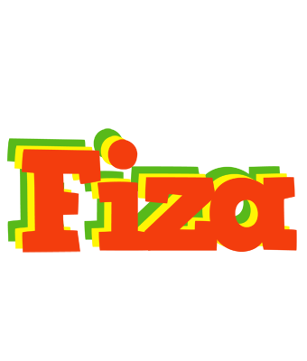 Fiza bbq logo