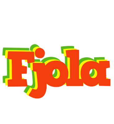 Fjola bbq logo