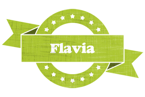 Flavia change logo