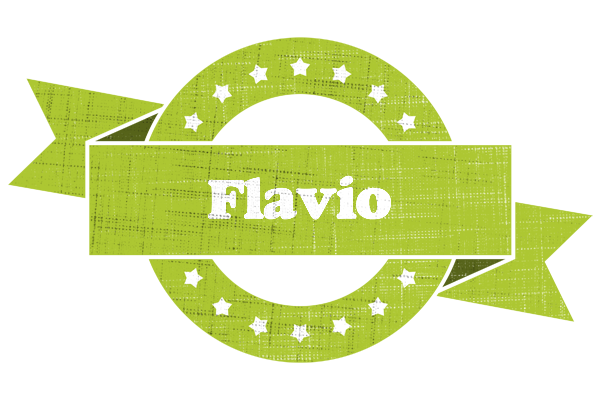 Flavio change logo