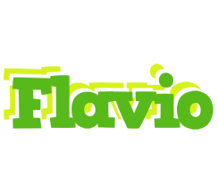 Flavio picnic logo