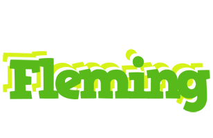 Fleming picnic logo