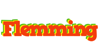 Flemming bbq logo