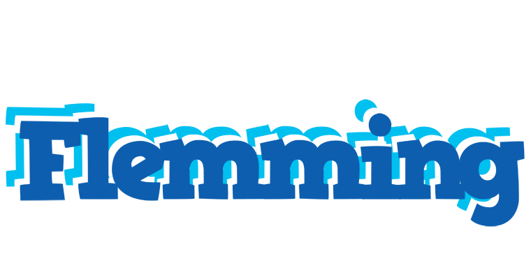 Flemming business logo