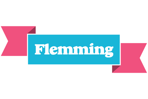 Flemming today logo