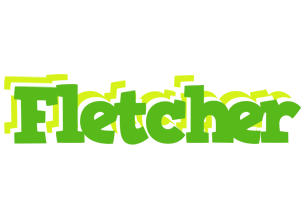 Fletcher picnic logo