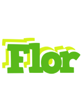 Flor picnic logo