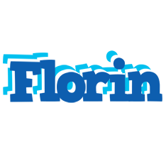 Florin business logo
