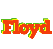 Floyd bbq logo