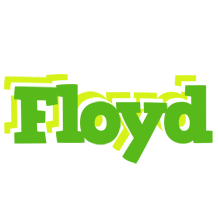 Floyd picnic logo