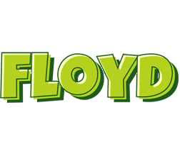 Floyd summer logo