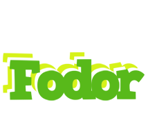 Fodor picnic logo