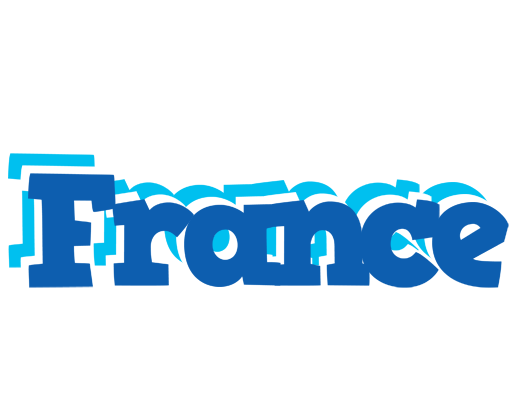 France business logo