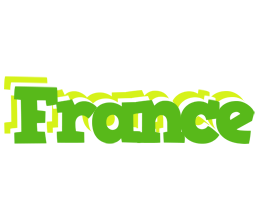 France picnic logo